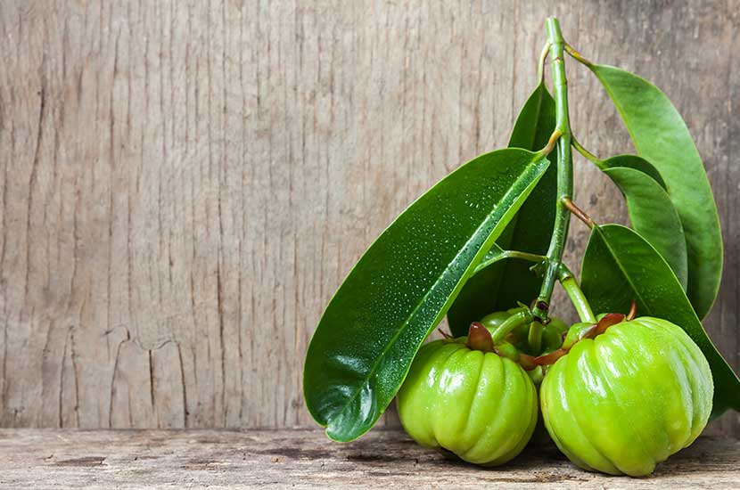 l'estratto di Garcinia cambogia può aiutare a controllare l'appetito