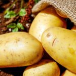 Patate fresche raccolte da un sacco di juta su un balcone, simbolo di un'orto urbano semplice e produttivo.