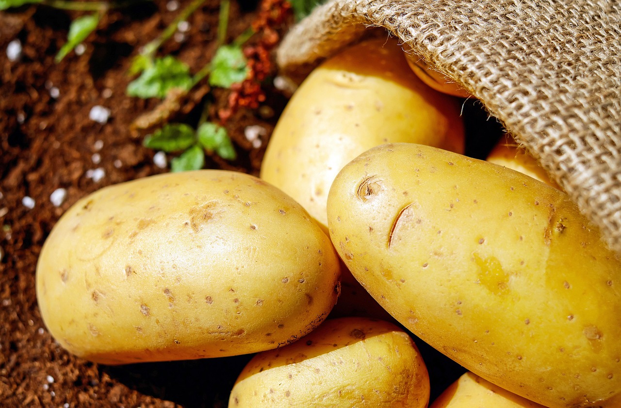Patate fresche raccolte da un sacco di juta su un balcone, simbolo di un'orto urbano semplice e produttivo.