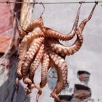 Polpo cotto in acqua di cottura, pronto per essere raffreddato, su un piatto bianco.